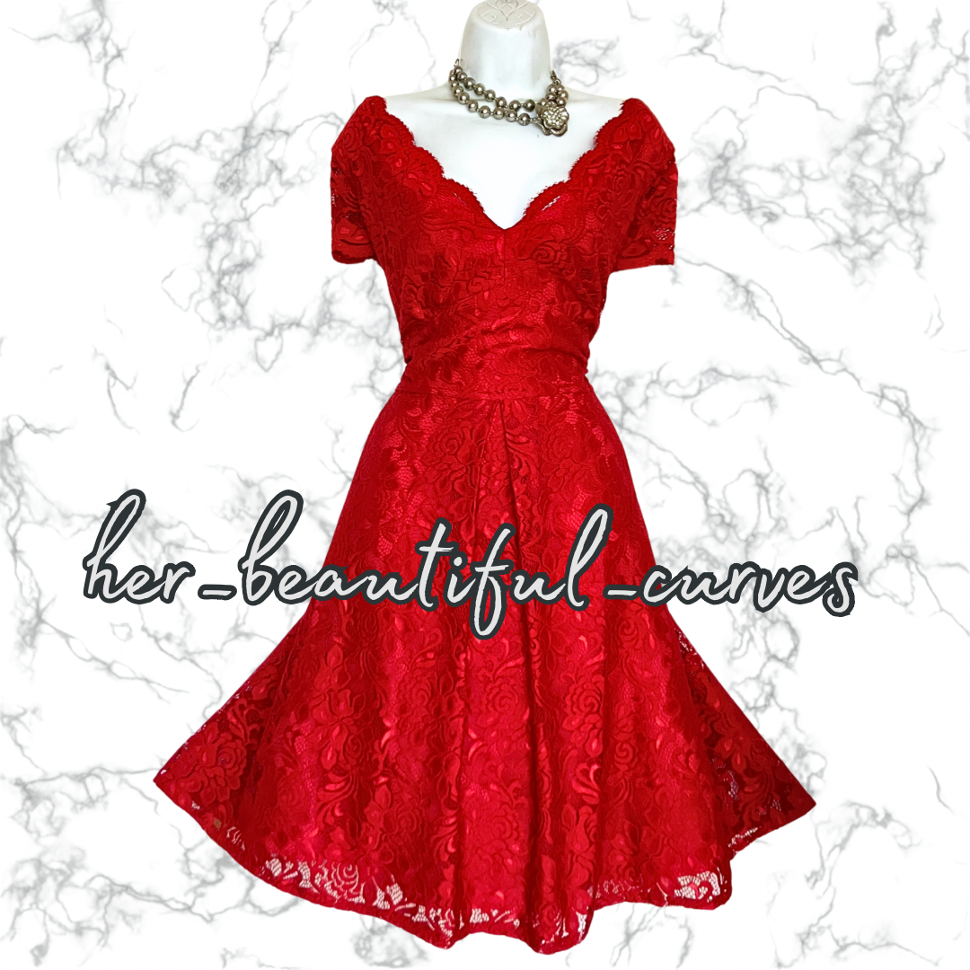 EXQUISITE JOLIE MOI APPLIQUÉ BLOOMS 50's STYLE FLARED PARTY DRESS SIZE 20
