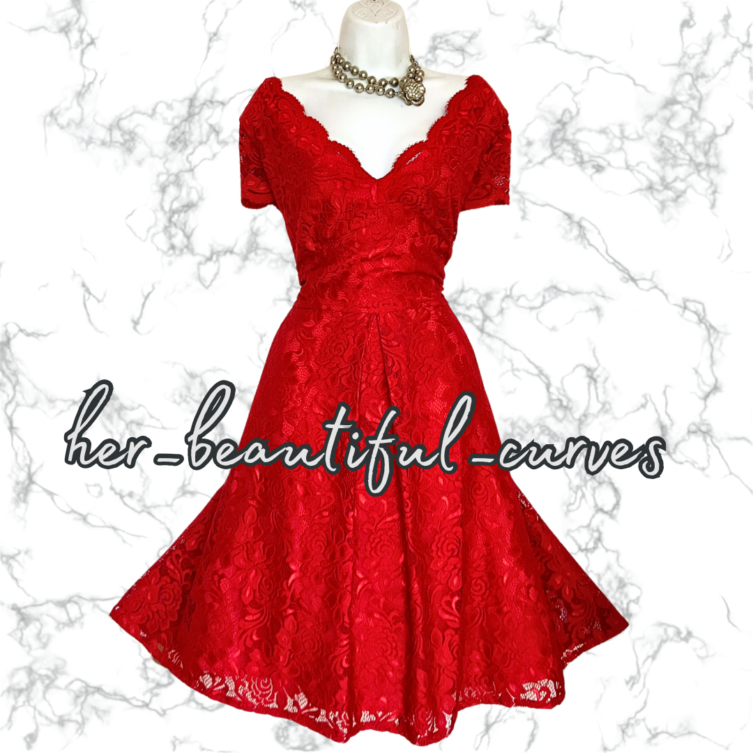 EXQUISITE JOLIE MOI APPLIQUÉ BLOOMS 50's STYLE FLARED PARTY DRESS SIZE 20