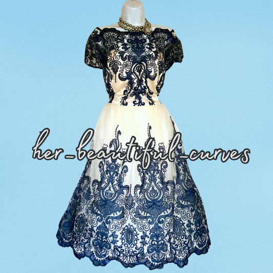 CHI CHI LONDON CURVE VINTAGE STYLE WEDDING OCCASION PARTY DRESS SIZE 22