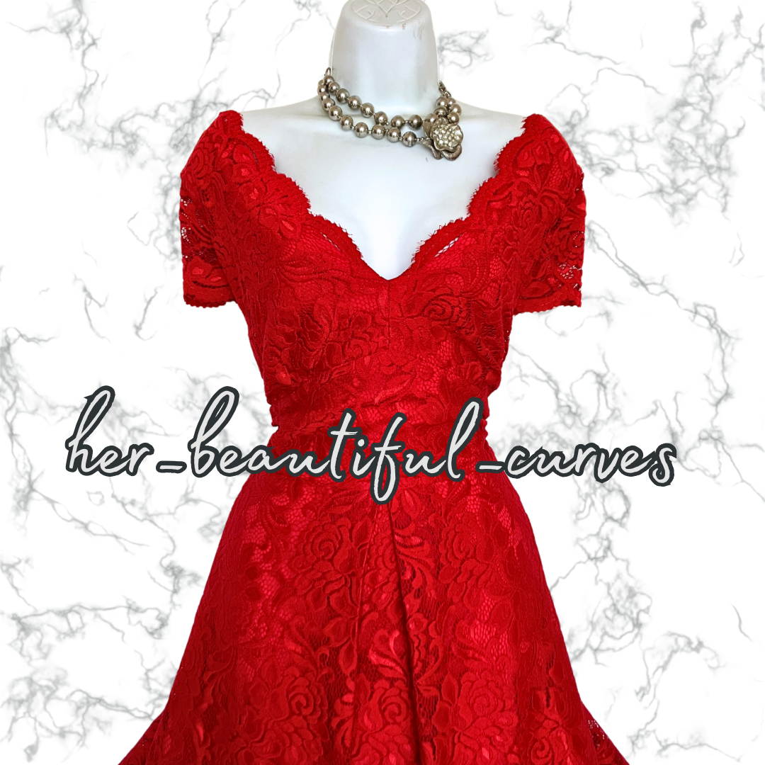 EXQUISITE JOLIE MOI APPLIQUÉ BLOOMS 50's STYLE FLARED PARTY DRESS SIZE 20