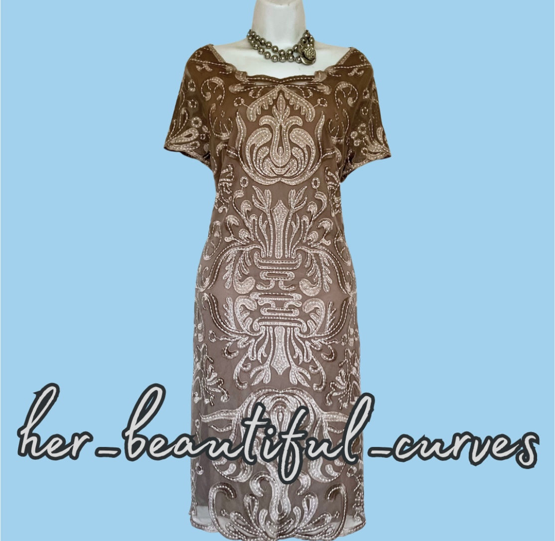 PHASE EIGHT EMBROIDERIES OCCASION EVENING PARTY DRESS SIZE 18